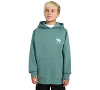 Hoodie BILLABONG "Foundation", Jungen, Gr. XL, grün (sagebrush), Obermaterial: 55% Baumwolle, 25% Baumwolle, 20% Polyester., Sweatshirts Hoodie (33420513-XL) sagebrush