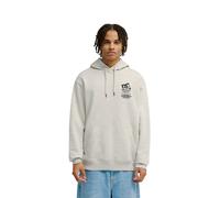 Hoodie DC SHOES "DC Sport Stack", Herren, Gr. XL, grau (light erdgrau), Obermaterial: 55% Baumwolle, 25% Baumwolle, 20% Polyester., Sweatshirts Hoodie (10546709-XL) light erdgrau