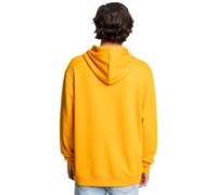 Hoodie DC SHOES "DC Star", Herren, Gr. XS, gelb (radiant gelb), Obermaterial: 55% gekämmte Walkfrottier, 25% Walkfrottier, 20% Microfaser;, Sweatshirts Hoodie (60152104-XS)