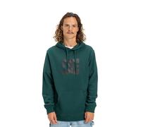Hoodie DC SHOES "DC Star", Herren, Gr. XXL, ponderosa pine, Obermaterial: 55% Baumwolle, 25% Baumwolle, 20% Polyester., Sweatshirts Hoodie (23059515-XXL) ponderosa pine