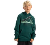 Hoodie DC SHOES "Slathletic", Kinder, Gr. 14(155-164cm), rosa (ponderosa pine), Obermaterial: 55% Baumwolle, 25% Baumwolle, 20% Polyester., Sweatshirts Hoodie (71734147-14) ponderosa pine