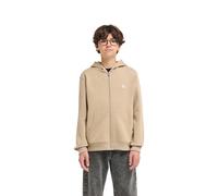 Hoodie ELEMENT "Cornell Classic", Jungen, Gr. 16(165-172cm), aluminum, Obermaterial: 55% Baumwolle, 25% Baumwolle, 20% Polyester., Sweatshirts Hoodie (32579759-16) aluminum