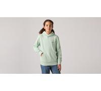 Hoodie LEVI'S KIDS "LVB MINI BATWING PULL OVER HOO", Jungen, Gr. 6 (116), cameo grün, Sweatware, Obermaterial: 60% Baumwolle, 40% Polyester, bequem hüftbedeckend, angesetztes Bündchen, Sweatshirts Hoo