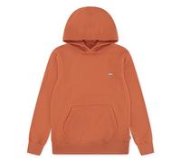 Hoodie LEVI'S KIDS "LVB MINI BATWING PULL OVER HOO", Jungen, Gr. 6 (116), orange (mango), Sweatware, Obermaterial: 60% Baumwolle, 40% Polyester, bequem hüftbedeckend, angesetztes Bündchen, Sweatshirts