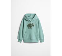 Hoodie MARC O'POLO, Jungen, Gr. 116/122, grün, Sweatware, Obermaterial: 100% Baumwolle, normal normal, Rippbündchen, Sweatshirts Hoodie (75684027-116) grün