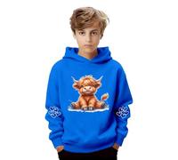 Hoodie Teenager Mädchen Cartoon-Dinosaurier Druck Kapuzenpullover Einfarbig Oversized Pullover Langärmliges Sweatshirt Jungen Winter Warm Kapuzenpulli 3-14 Jahre