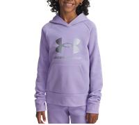 Hoodie Under Armour Under Armour Rival Fleece Shimmer 198632699614 Größe M EU
