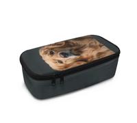 Howilath Großes Federmäppchen für Jungen, große Kapazität, Federmäppchen für Kinder, Sekundar-/Grundschule, Federmäppchen für Schüler, Organizer, Golden Retriever, 10.24"*4.49"*3.15, Schulranzen