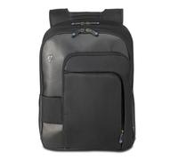 HP Professional Rucksack für Notebook bis 39,6 cm (15,6 Zoll)