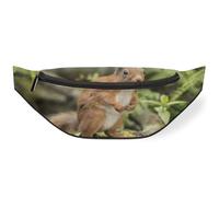 Hüfttasche mit Eichhörnchen-Motiv, niedliche Bauchtasche für Herren, Damen, Kinder, Mädchen, Jungen, Eichhörnchen, Bauchtasche, Sport, Wandern, Laufen, Geldbörse, Gürteltasche, farbe, M,