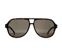 Hugo Boss Aviator Herren Dunkel Havanna Grau BOSS 1507/S Einheitsgröße