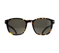 Hugo Boss Square Herren Havanna Dunkelgrau BOSS 1505/S Einheitsgröße