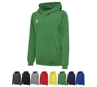 hummel 14Er Set Authentic Pl Hoodie Kids Inkl. Druck Hoodyset schwarz One size
