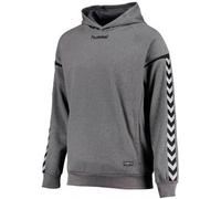 Hummel Herren Auth Charge Poly Hoodie, grau (Dark Grey Melange), M