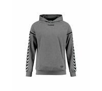 hummel Authentic Charge Poly Hoodie Hoody grau S