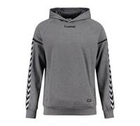 Hummel Authentic Charge Poly Kapuzenpullover (Herstellerartikelnummer: 133403-2007-128)