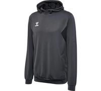 Hummel Authentic PL Herren Kapuzensweater, grau M