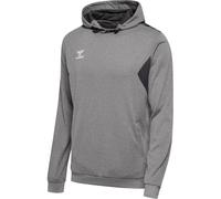 Hummel Authentic PL Herren Kapuzensweater, grau XS