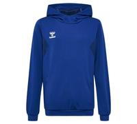 Hummel Kapuzenpullover Authentic Pl Hoody Kinder Blau Größe 152