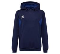 hummel Authentic Pl Hoody Kids blau, 14 (164) Kinder