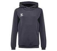 hummel Authentic Pl Hoody Kids grau, 14 (164) Kinder