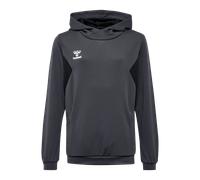 Hummel Authentic Pl Hoody Kids Grau F1525 14 (164) grau