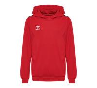 Hummel Authentic Pl Hoody Kids Rot F3062 14 (164) rot
