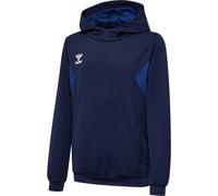 Hummel Authentic PL Kinder Kapuzensweater, blau 140