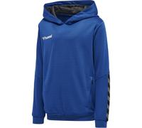 hummel Authentic Polyester Hoodie Kinder true blue 116