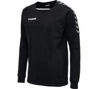 Hummel Authentic Trainingssweat | schwarz | Herren | S | 2053732114 S