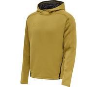 hummel Cima XK Hoodie Herren antique gold XL