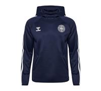 hummel Dänemark Travel Hoody EM 2024 blau, 2XL Unisex