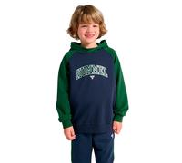Hummel Essen Hoodie Grün,Blau 140 cm Junge