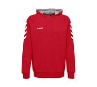 hummel Kapuzenpullover Hmlgo Herren