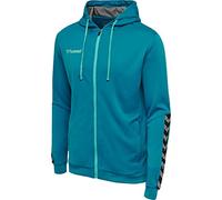 hummel Herren Hoodie, Gerade, Polyester, Celestial, S