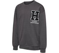 hummel Hmlallton Sweatshirt Lifestylesweatshirt grau 110