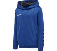 hummel Authentic Polyester Hoodie Kinder true blue 176