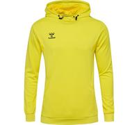 hummel, hmlAUTHENTIC PL Hoodie, Blazing Yellow, XL