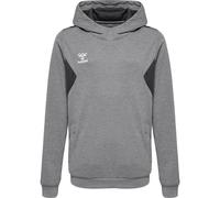 hummel Hmlauthentic Pl Hoodie Kinder - grey melange - 116