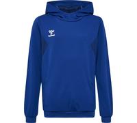 hummel Hmlauthentic Pl Hoodie Kinder - true blue - 164
