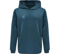 hummel Core XK Poly Hoodie Kinder blue coral 116