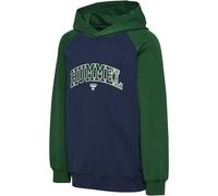 Hummel Essen Hoodie Grün,Blau 116 cm Junge