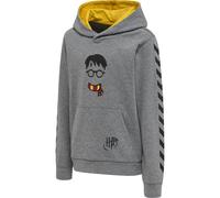 HUMMEL hmlHARRY POTTER CUATRO HOODIE medium melange 146