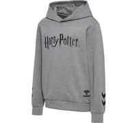 hummel - hmlHARRY Potter Kids Hoodie, Kapuzenpulli (DE/NL/SE/PL, Numerisch, 128, Regular, Grau)