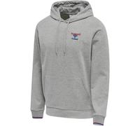 Hummel Unisex Kapuzenpullover hmlIC DAYTON HOODIE 214319-2006 XL Grey Melange