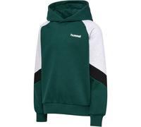 hummel hmlJR Loose Blocked Hoodie Kinder 6712 - june bug 122/128