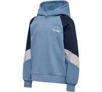 Hummel Loose Blocked Hoodie Blau 146-152 cm Kinder