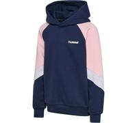 Hummel Loose Blocked Kapuzenpullover