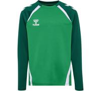hummel hmlLEAD 2.0 Crew Sweatshirt Kinder 6327 - jelly bean/evergreen 152