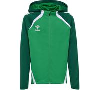 hummel hmlLEAD 2.0 Kapuzenjacke Kinder 6327 - jelly bean/evergreen 116